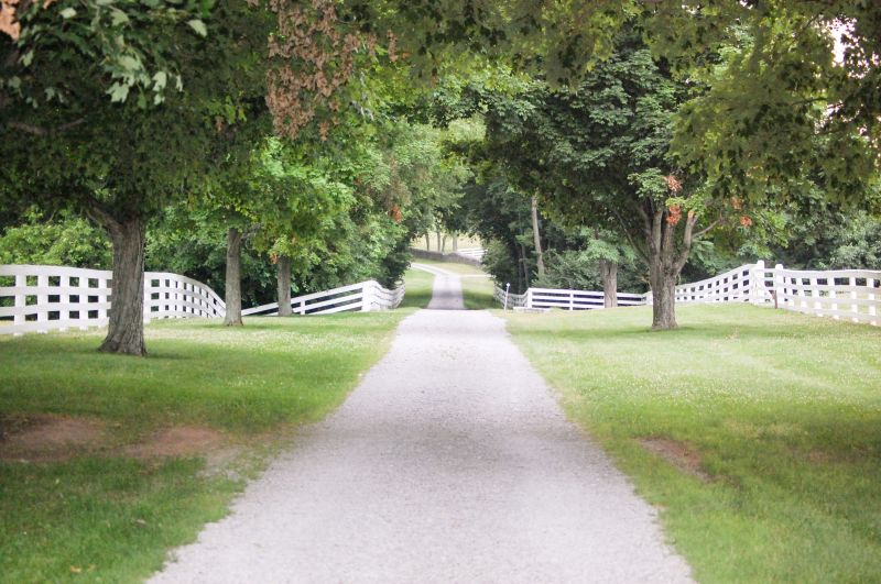 Outdoor Tile Installation 2